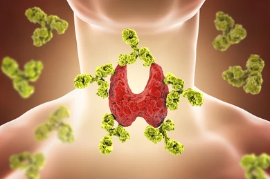 thyroid