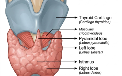 5 Thyroid Cancer Myths That Could Be Putting Your Health at Risk
