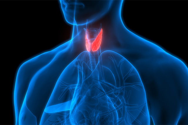 Second Opinion Before Thyroid Surgery